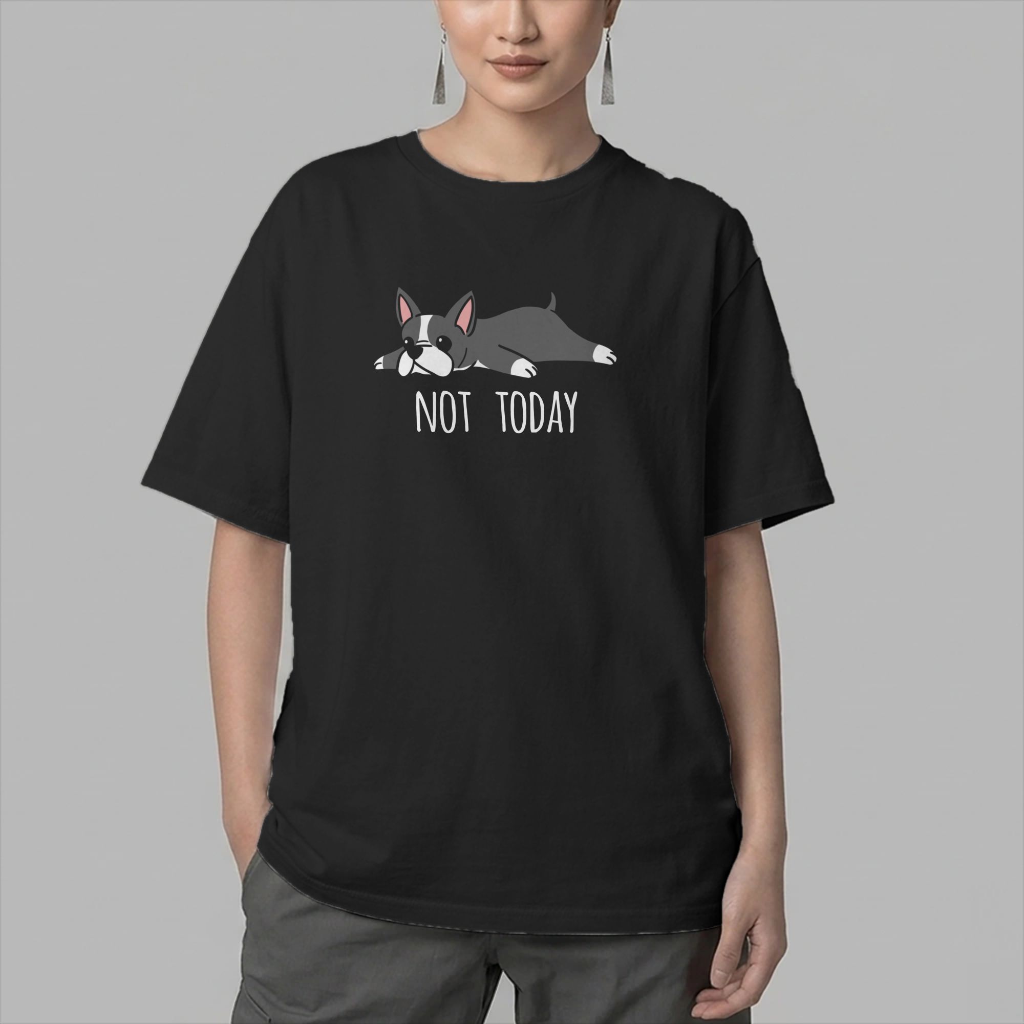 Funny Not Today Boston Terrier - Summer Clothing Ideas 评论和价格