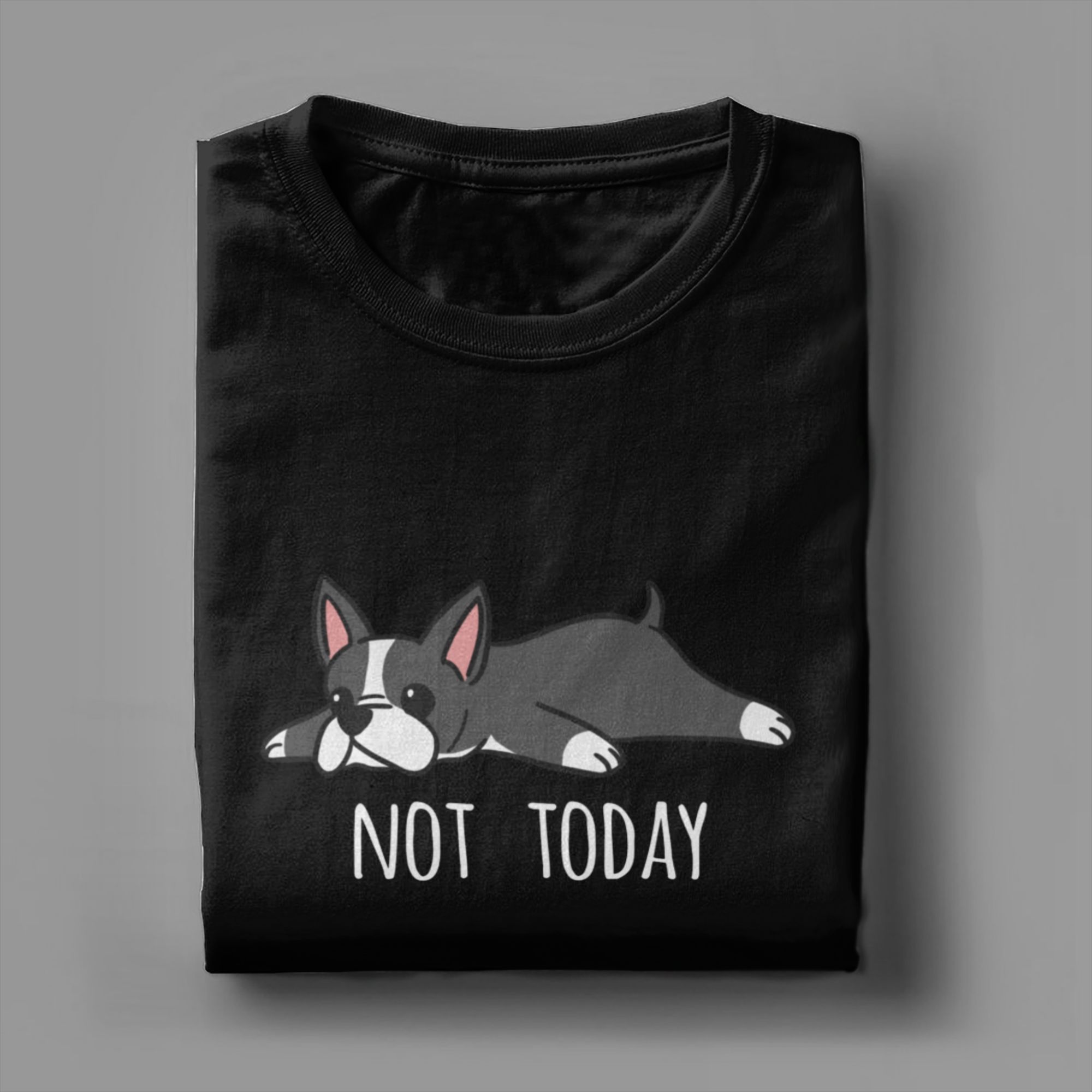 Funny Not Today Boston Terrier - Summer Clothing Ideas 评论和价格